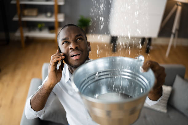Water damage restoration mold remediation in Scotts Valley, CA