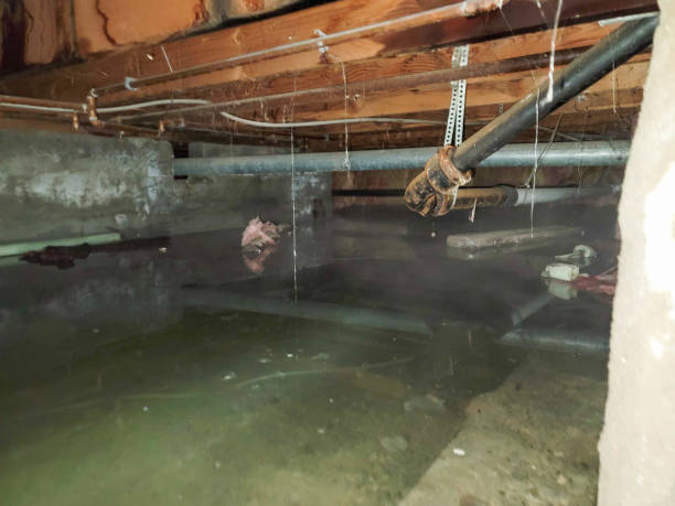 Best Basement water damage restoration  in Scotts Valley, CA