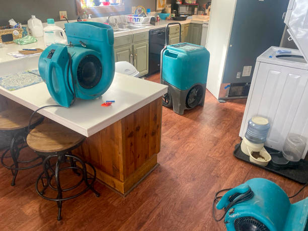 Best Local water damage restoration  in Scotts Valley, CA