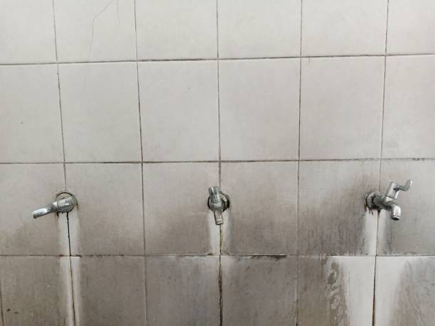 Best Carpet water damage restoration  in Scotts Valley, CA