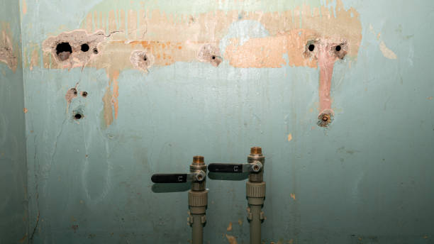 Best Water damage restoration near me  in Scotts Valley, CA