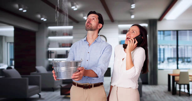 Best Fire Damage Restoration  in Scotts Valley, CA