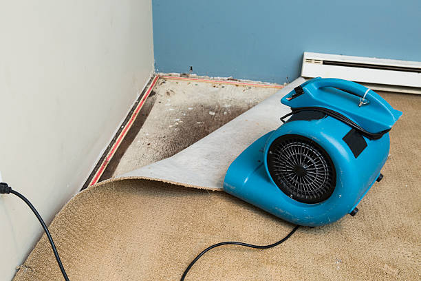 Sewage cleanup and water damage restoration in Scotts Valley, CA